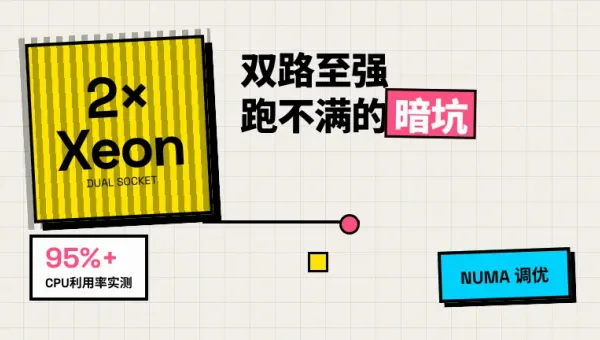 新加坡双路至强Xeon高配服务器跑满CPU的5个调法