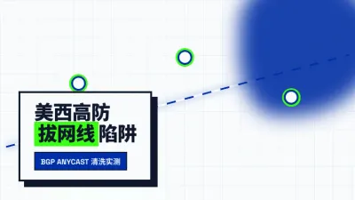 美国高防服务器怎么选？查清这3个底层参数防机房拔网线