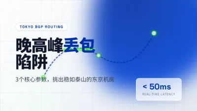日本外贸建站挑哪家主机？3个参数避开晚高峰丢包大坑
