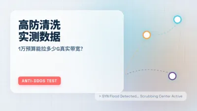 美国高防服务器实测：1万月租能拉多少G真实清洗带宽