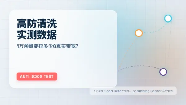 美国高防服务器实测：1万月租能拉多少G真实清洗带宽