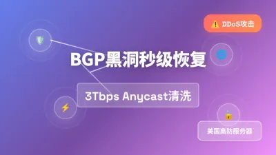 美国高防服务器被打进黑洞秒解实战3Tbps攻击清洗恢复