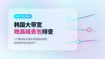 韩国大带宽独立服务器租用：3个指令搞定晚高峰卡顿问题