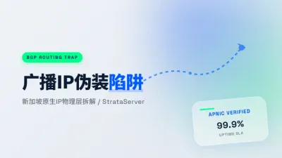 适合TikTok运营的新加坡原生IP服务器，3招防广播坑