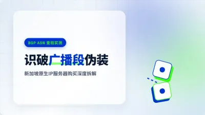新加坡原生ip服务器购买推荐：3招识破机房广播段伪装