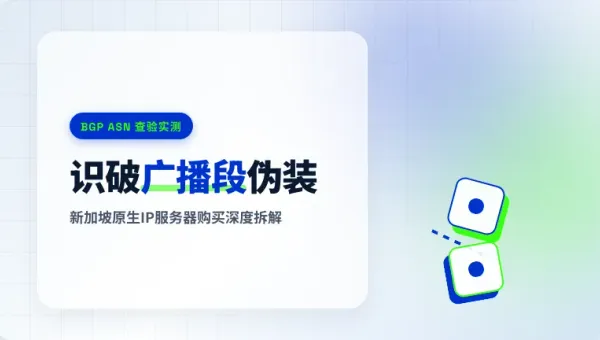新加坡原生ip服务器购买推荐：3招识破机房广播段伪装