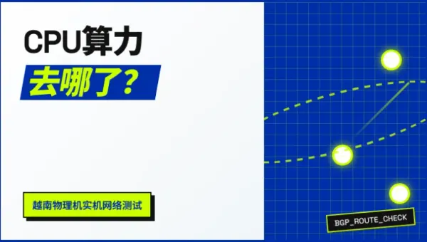 越南独享物理服务器防丢包测这3个真实硬件指标绝不花冤枉钱