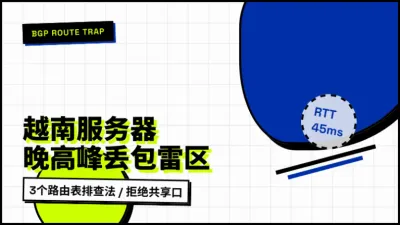 越南服务器租用哪家便宜？看3个路由表避开晚高峰丢包