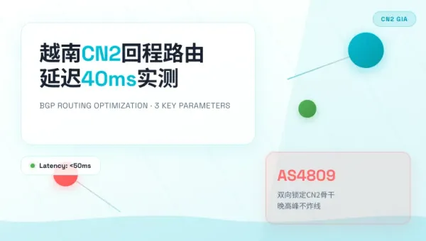 越南最稳的CN2服务器延迟优化3个回程路由必查参数