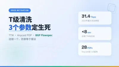 美国防御最高的服务器机房3个T级清洗参数选错就白扔钱
