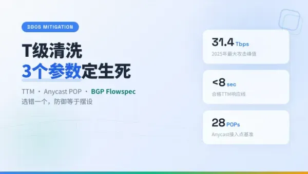 美国防御最高的服务器机房3个T级清洗参数选错就白扔钱
