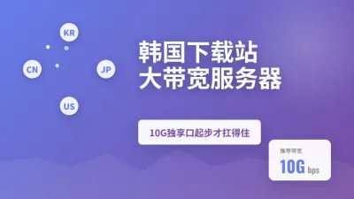 搭建韩国下载站大带宽服务器带宽没拉到10G独享口高并发直接崩