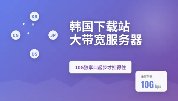 搭建韩国下载站大带宽服务器带宽没拉到10G独享口高并发直接崩