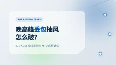 日本东京机房服务器怎么选？3个底层参数搞定晚高峰丢包