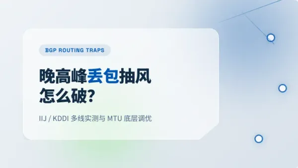 日本东京机房服务器怎么选？3个底层参数搞定晚高峰丢包
