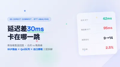 新加坡直连线路白天晚上延迟差超30ms到底卡在哪一跳