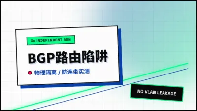 马来西亚混c段站群服务器配三个独立ASN防连坐排雷笔记