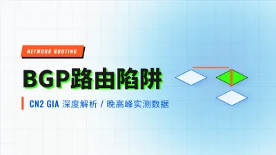 新加坡服务器cn2 gia与常规bgp实测3大路由跳数