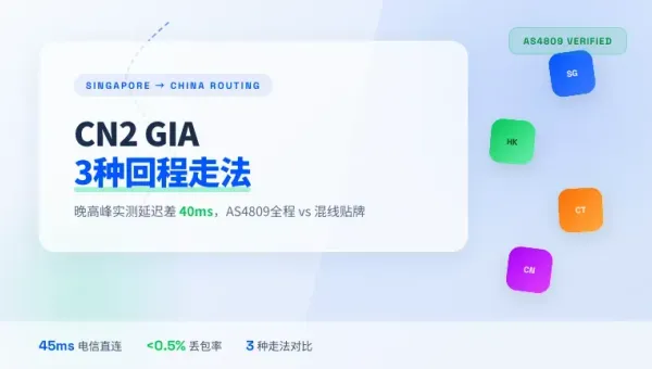 新加坡CN2 GIA线路服务器差异3种回程延迟差40ms