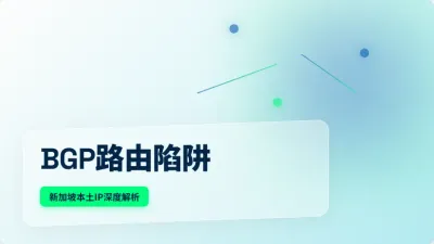 新加坡本土纯净IP服务器提供商怎么挑？3个参数看底细