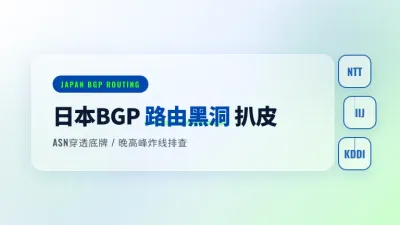 日本服务器BGP接入包含哪4大运营商？选线绕坑实录