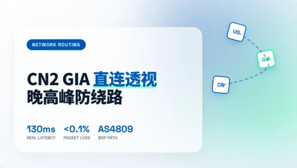美国CN2物理机租用价格表透视：3个关键参数防晚高峰绕路