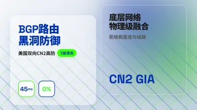 美国双向CN2高防独立服务器：3大抗D与延迟实测参数