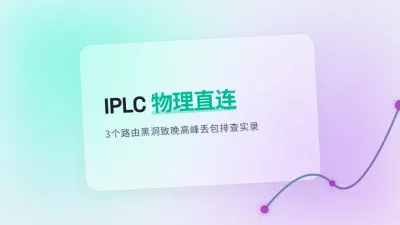 日本IPLC专线双千兆接入：3个路由黑洞致晚高峰丢包
