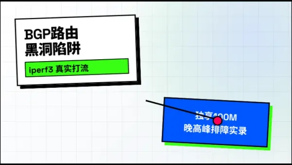 独享100M美国服务器真实测速及晚高峰丢包排查实录