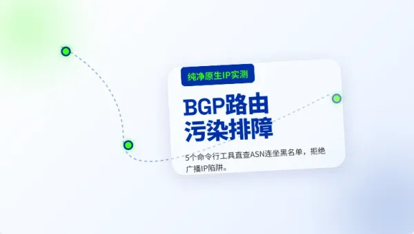 买新加坡原生ip纯净度高的服务器必敲的5个排障命令
