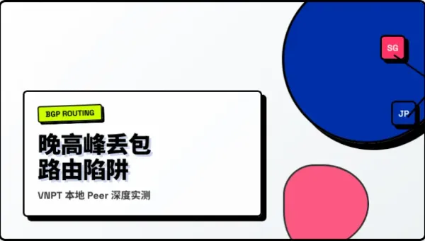 越南VNPT机房服务器总丢包？实测3条调优路由数据