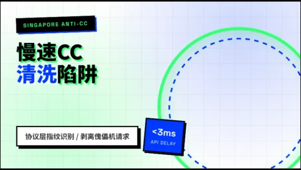 新加坡ddos防护抗CC攻击服务器用3层清洗拦截慢速请求