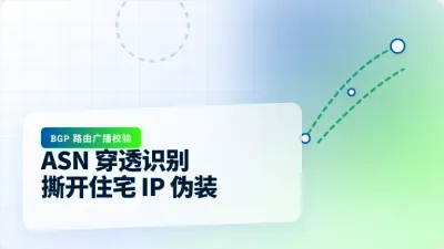 靠谱的美国住宅IP网站挑选：5个核心网络参数校验防封