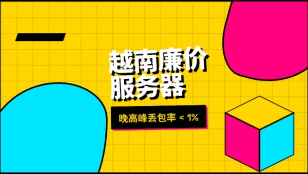 挑越南最便宜的服务器，弄懂这3个网络指标再掏钱不迟